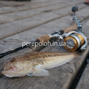 Морская рыбалка, заказ в Одессе